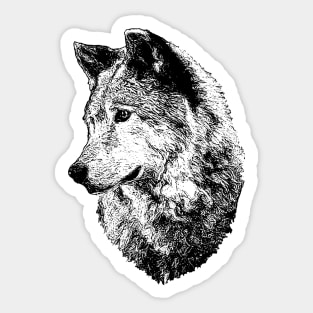 Wolf portrait Sticker